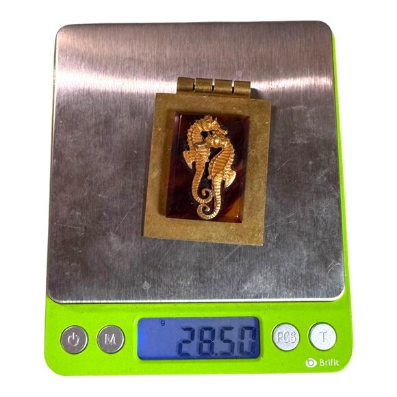 Vintage Jean Painleve Bakelite Seahorse Pendant Brass Art Deco Made In France - Picture 6 of 7